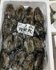「ホームページはこちら🔗iwafunegyokou.com」