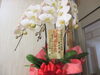 お祝いの花！「☆開園記念日☆」