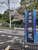 「桜(北九州市八幡西区若葉にある少人数対応安心低価格の直葬.家族葬専門葬儀社です。小倉にも会館がございます)」