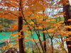 五色沼(毘沙門沼)「【番外編】裏磐梯の紅葉を見に行ってきました！」