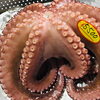 「魚魚市場鮮魚コーナーおすすめは「シビマグロ・ゆでダコ」です♪」