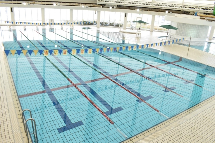 初心者用の泳ぐレッスンもあります！「オリンピックに合わせて！【京都市南区・京都テルサ・ジム・プール・こども・駐車場完備】」