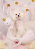 「Anniversary photo　(^O^)／」