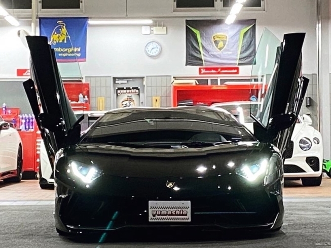「Lamborghini Aventador S Roadstar」