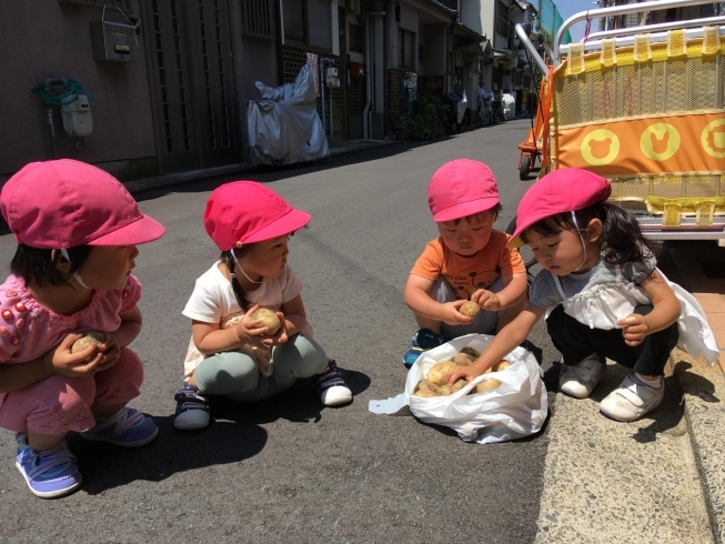 「園児は畑のおじさんが大好きです。」