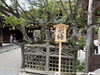 「学問の神様・北野天満宮に参拝して参りました✨」
