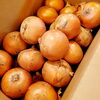 玉ねぎもデカッ！「🥔でっかいど〰️〰️🥔」