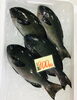 「魚魚市場鮮魚コーナーおすすめは「北海道産ホタテ・特価！クロムツ」です♪」