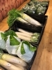 行方市産の新鮮お野菜「天王崎交流センターコテラスよりご紹介♫」