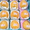 「農産物直売所では『山ごぼう』が入荷します！」