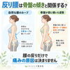 骨盤の傾きと腰のカーブを一緒に確認します。「【草津市・南草津】反り腰で腰が痛い方へ｜骨盤・股関節・姿勢から考える腰痛の原因」