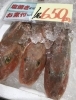 「魚魚市場鮮魚コーナーおすすめは「イサキ」です♪」