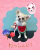 「Dog salon mofu mofu　余市町」