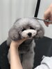 「ご家族決まりました　^ - ^」