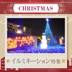 【2023年】和歌山市イルミネーションスポット【クリスマス】