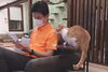 ちゃんとメモってるかにゃ？「猫さんのチェックが厳しかった件」