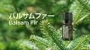 「毎日がしんどいと感じるあなた‥あなたの人生をハッピーにする守護龍神メッセージ🌈あなたは1人じゃない🌿」