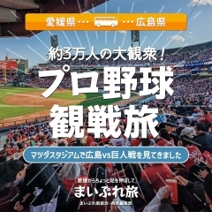 【愛媛県→広島県】マツダスタジアムでプロ野球観戦の旅