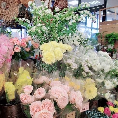 はなやホック皆生店 春の切り花豊富です はなや皆生店のニュース まいぷれ 米子 はなやホック皆生店 春の切り花豊富です はなや皆生店のニュース まいぷれ 米子