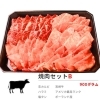 焼肉Bセット/900g