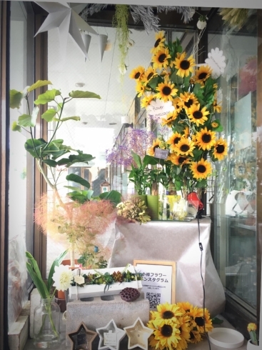7月スタート ひまわりの季節です 有限会社 小樽フラワーのニュース まいぷれ 小樽市