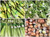 「新鮮な夏野菜などをお値うち価格で販売していま～す」