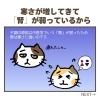 「寒さによる「疲れやすさ」「ダルさ」「頻尿」の原因は？（=^ェ^=) 整体・オイル・リーディング・占い・顔そり・氣功」