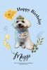 「Dog salon mofu mofu　余市町」