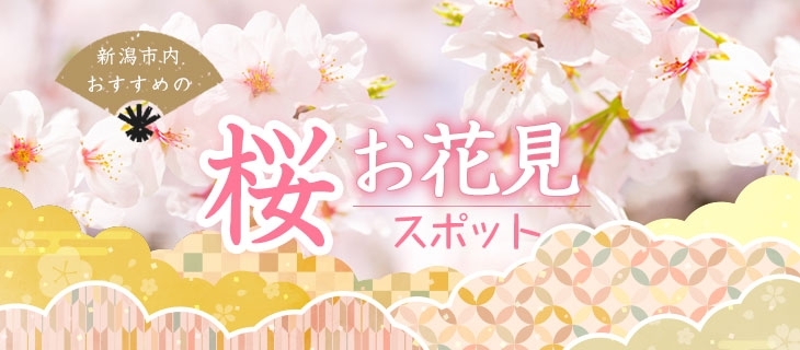 新潟市の花見情報 まいぷれ 新潟市 新潟市の花見情報 まいぷれ 新潟市