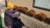 作業中 / 木を配置して仕上げていきます「川西市でコニファーの植栽工事をしました!」