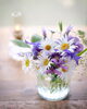 photo little forest「＊　10月17日から10月23日まで　守護天使のメッセージ」