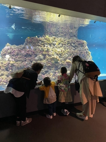 初めての水族館　興味津々なかなか離れませんでした「葛西臨海公園に行きました♬ 西船アンティークDEN」