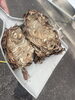 蜂の巣駆除「屋根裏や床下の物音が気になったら｜被害箇所の確認・点検から清掃・修繕までまとめて対応いたします」