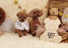 「Anniversary photo　」