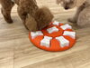 ノーズワーク中のくうくんお顔写ってなくてごめんね「ましゅまろ幼稚園　^o^」