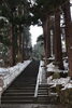 「《早詣》に熊野大社へ行ってきました」