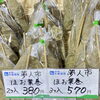 「旬を先取り『ほお葉巻き』ＧＷ期間 数量限定販売！」