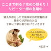 「「攻めのお顔そりでクセになる」と大好評！リピーター様も急増中の猫丸のお顔そり（=^ェ^=) 整体・オイル・リーディング・占い・顔そり・氣功」