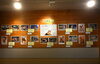 ネコ科動物の特徴を紹介しています「企画展「とべねこ展」」
