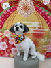 MIX犬のくーくん🚙「新年✨トリミング🐶🐾」