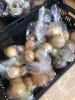 お買い得!玉ねぎ「コテラス・直売所より新鮮野菜たくさん入荷しておりまーす(*^^*)」