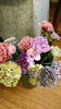 染カーネーション  アンティークCOLOR「生花とは思えない‼️ 柔らかくて透明感のあるお花です❤️」