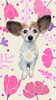「Dog salon mofu mofu　余市町」
