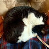 momo「Good morning Otaru」