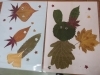 08 28 9月21日 祝日 秋の自然観察会 葉っぱの観察と工作 を開催します 枚方市役所のニュース まいぷれ 枚方市