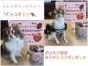 沢山のご参加ありがとうございました🫶🏻「ご参加ありがとうございました🍫✨」