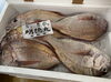 「ハラコ販売中でーす‼️鮮魚パックいろいろ販売中‼️〆鯖も販売致します🐳」