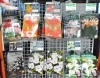 夏植え球根を各種 豊富に取り揃えております ホームセンタームサシ長井店のニュース まいぷれ 長井 西置賜