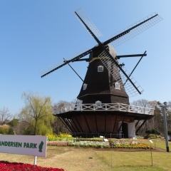 アンデルセン公園の風車が6年ぶりに復活！21日までフォトスポットも