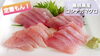 コシナガマグロ 【2人前 500円(税込)】「○本日のお刺身【定置もん！】【島根県産コシナガマグロ、天然タイ】」